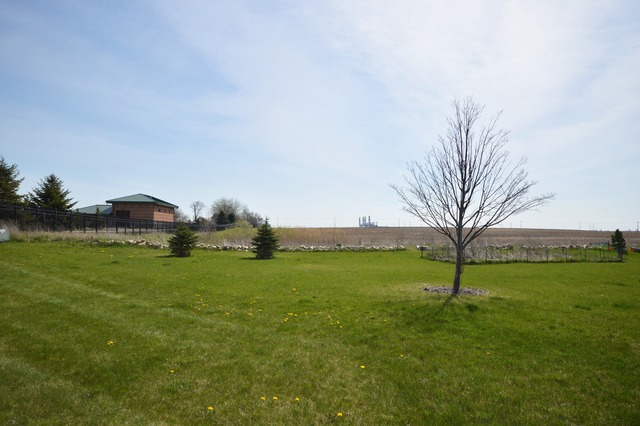 839 Daniel Dr, Minooka, IL 60447 photo 18