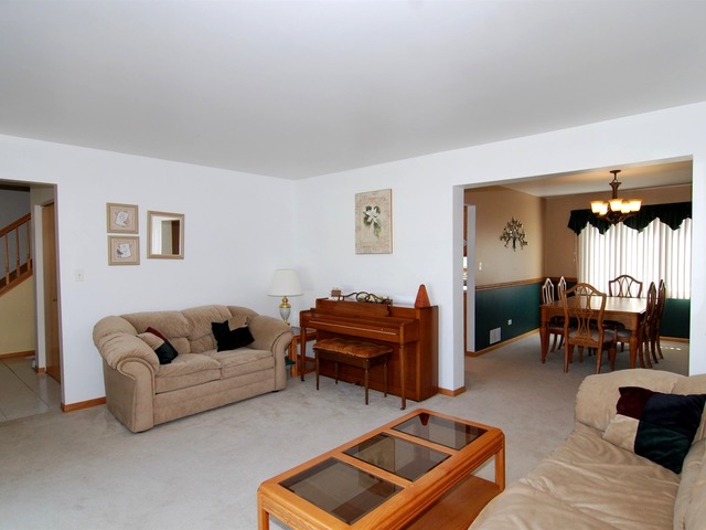 9019 Willow Ln, Mokena, IL 60448 photo 5