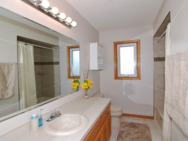 9019 Willow Ln, Mokena, IL 60448 photo 15