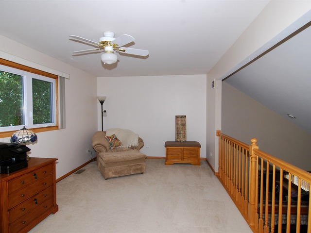 9019 Willow Ln, Mokena, IL 60448 photo 13