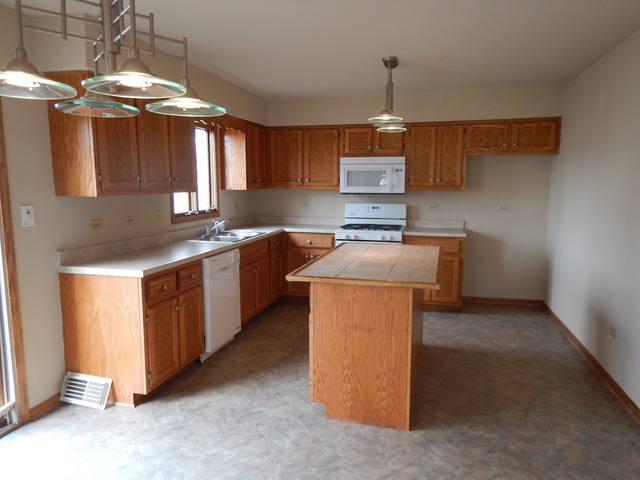 5027 W Herbert Ct, Monee, IL 60449 photo 5