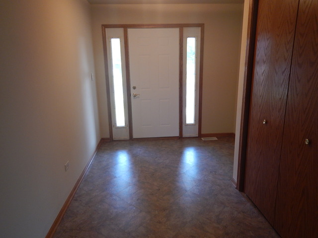 5027 W Herbert Ct, Monee, IL 60449 photo 3