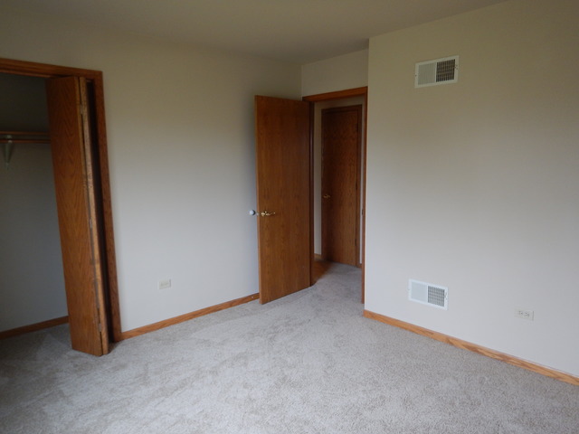 5027 W Herbert Ct, Monee, IL 60449 photo 8