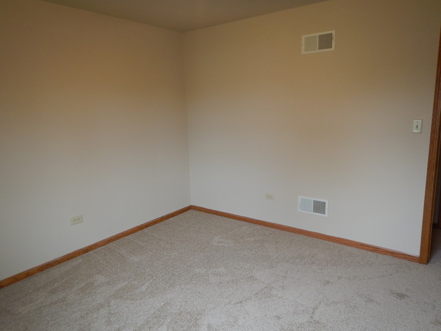 5027 W Herbert Ct, Monee, IL 60449 photo 9