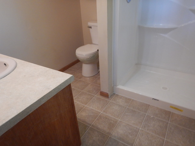 5027 W Herbert Ct, Monee, IL 60449 photo 10