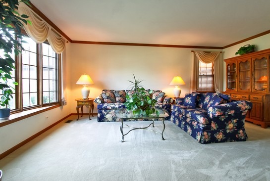 739 Yorkshire Ln, Des Plaines, IL 60016 photo 6