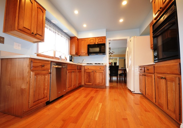 1203 E Barberry Ln, Mount Prospect, IL 60056 photo 4