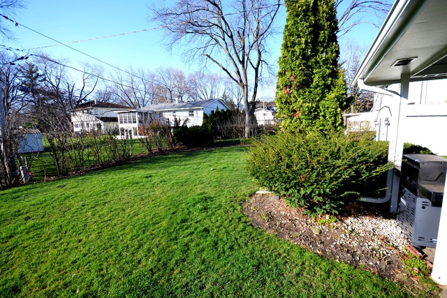 1203 E Barberry Ln, Mount Prospect, IL 60056 photo 15