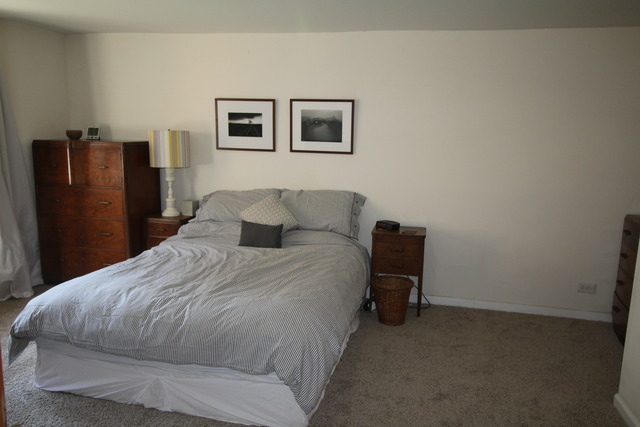 2022 S Washtenaw Ave, Chicago, IL 60608 photo 10