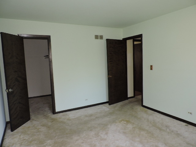 700 Carlton Dr, Elgin, IL 60120 photo 11