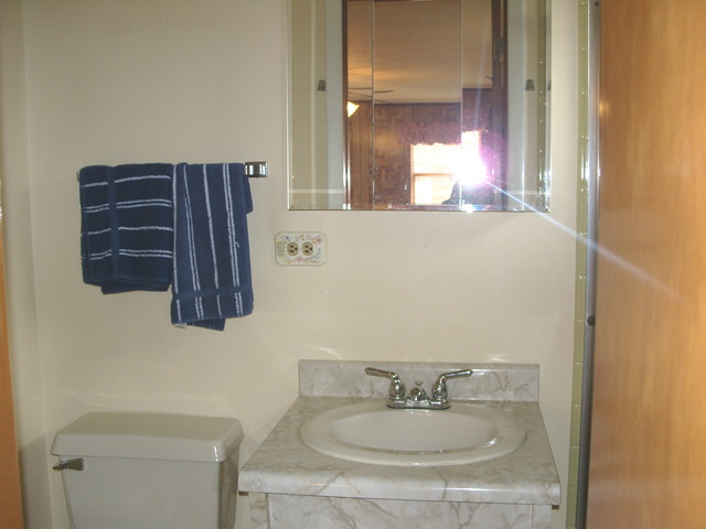 2203 Fulle St, Rolling Meadows, IL 60008 photo 15