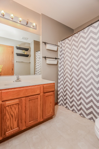 7424 Fordham Ln, Plainfield, IL 60586 photo 10