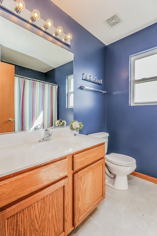 7424 Fordham Ln, Plainfield, IL 60586 photo 17