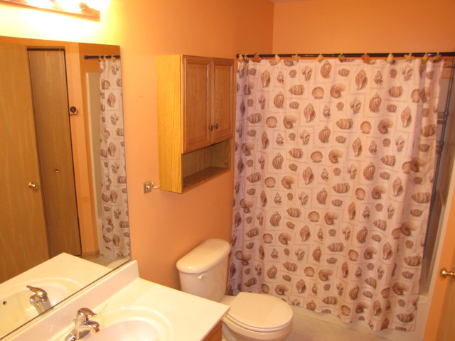 6409 Valley Ridge Dr, Plainfield, IL 60586 photo 11
