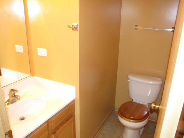 6409 Valley Ridge Dr, Plainfield, IL 60586 photo 5