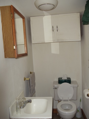205 Locust St, Campus, IL 60920 photo 7
