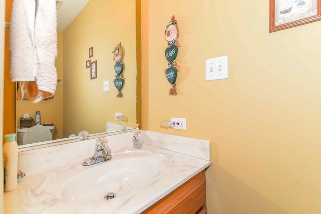 147 Lake Hill Dr, Steger, IL 60475 photo 9