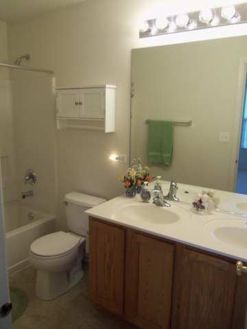 512 Conservatory Ln, Aurora, IL 60502 photo 15