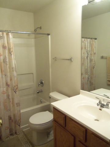 512 Conservatory Ln, Aurora, IL 60502 photo 18