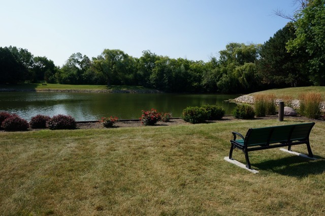 1022 Harbour Dr #1A, Wheeling, IL 60090 photo 16