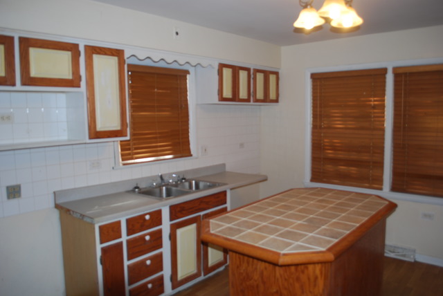 20330 Hellenic Dr, Olympia Fields, IL 60461 photo 2
