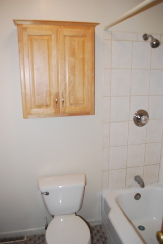 20330 Hellenic Dr, Olympia Fields, IL 60461 photo 7