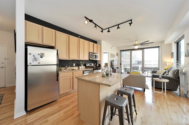 1 E 8th St #411, Chicago, IL 60605 photo 6
