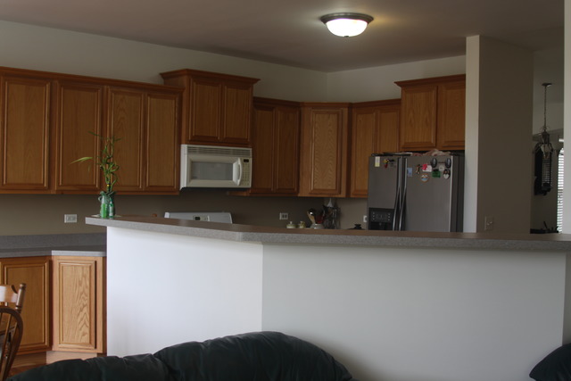 781 Clover Ridge Ln, Itasca, IL 60143 photo 5