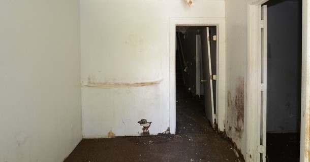 5654 S Aberdeen St, Chicago, IL 60621 photo 4