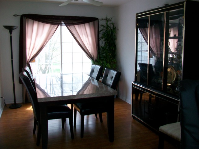 1447 Snow Drift Cir, Bartlett, IL 60103 photo 4