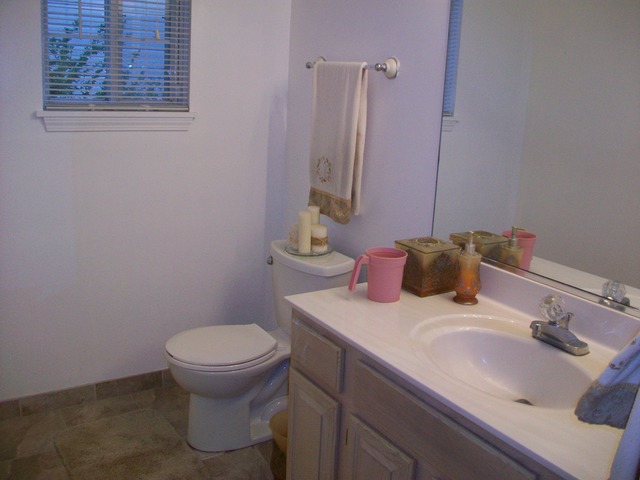 1447 Snow Drift Cir, Bartlett, IL 60103 photo 8
