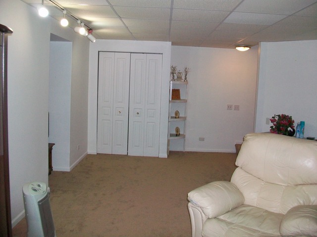 1447 Snow Drift Cir, Bartlett, IL 60103 photo 19