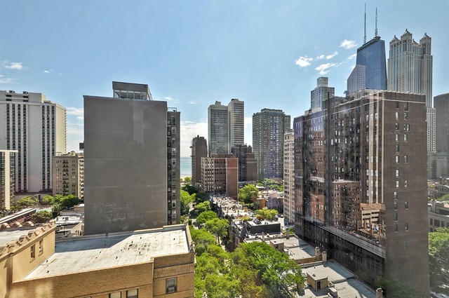 4 Elm St #18N, Chicago, IL 60611 photo 11