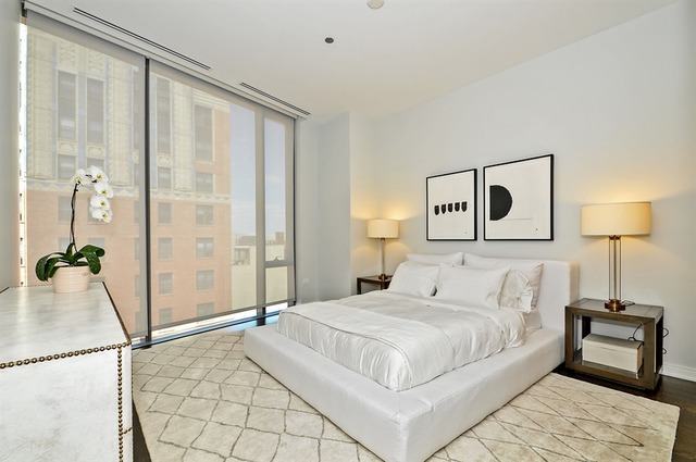 4 Elm St #18N, Chicago, IL 60611 photo 13