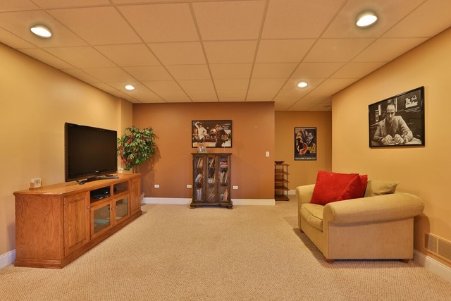 351 Fairway Dr, Beecher, IL 60401 photo 18
