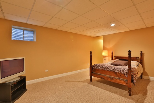 351 Fairway Dr, Beecher, IL 60401 photo 14