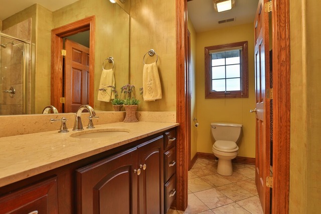 351 Fairway Dr, Beecher, IL 60401 photo 13