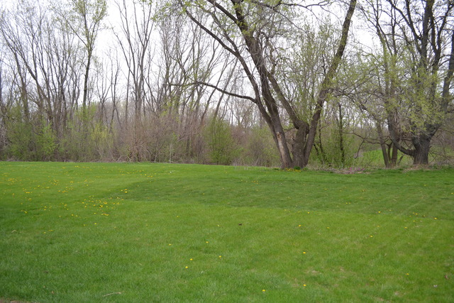22218 W Ocala Ct, Plainfield, IL 60544 photo 17