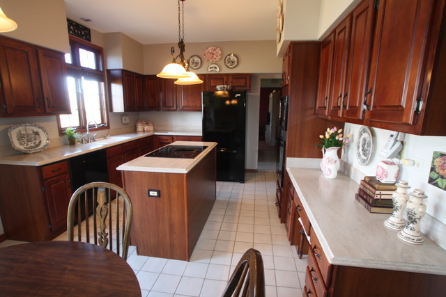 1156 Ancient Oaks Dr, Bartlett, IL 60103 photo 5