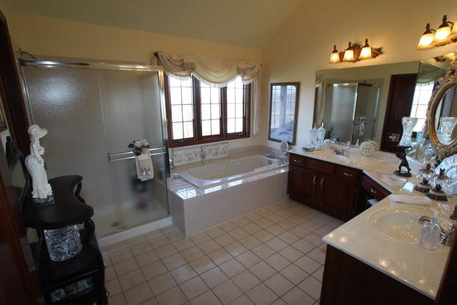 1156 Ancient Oaks Dr, Bartlett, IL 60103 photo 15