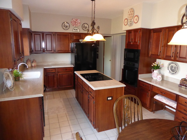 1156 Ancient Oaks Dr, Bartlett, IL 60103 photo 6