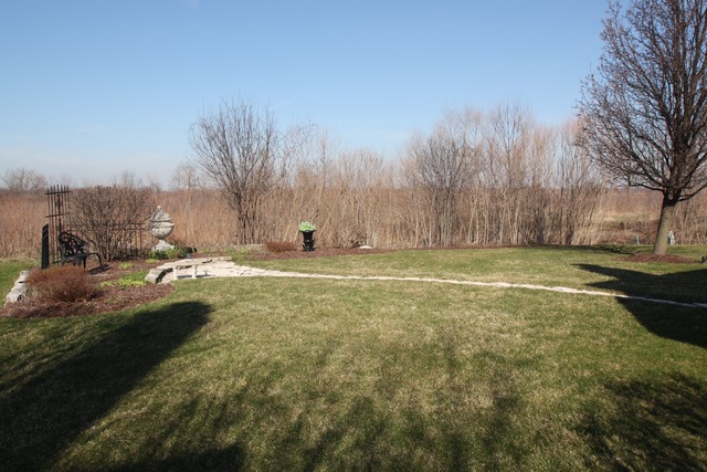 1156 Ancient Oaks Dr, Bartlett, IL 60103 photo 23