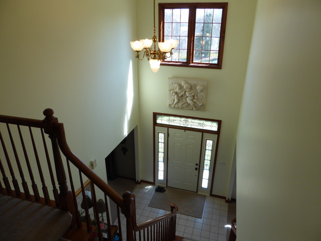 1156 Ancient Oaks Dr, Bartlett, IL 60103 photo 13