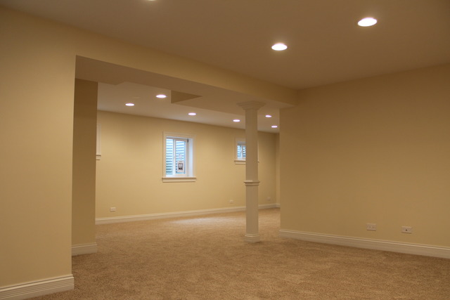 226 Shawnee Cir, Bartlett, IL 60103 photo 23