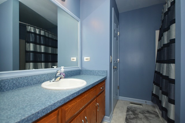 7002 Bitterroot Dr, Plainfield, IL 60586 photo 16