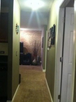 6010 Oakwood Dr #1M, Lisle, IL 60532 photo 7