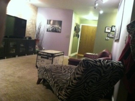 6010 Oakwood Dr #1M, Lisle, IL 60532 photo 9