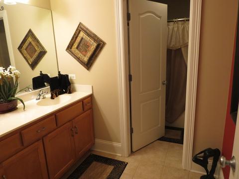 12824 Skyline Dr, Plainfield, IL 60585 photo 20