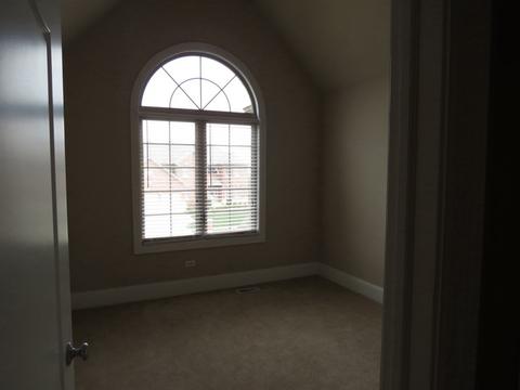 12824 Skyline Dr, Plainfield, IL 60585 photo 22