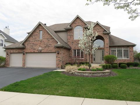 12824 Skyline Dr, Plainfield, IL 60585 photo 1